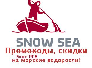 Промо скидки и коды Snow Sea